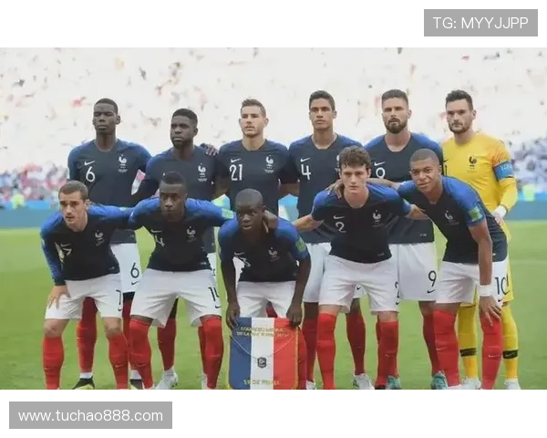 法国足球队中的白人球星及其在球队中的重要地位分析 法国足球队中的白人球星及其在球队中的重要地位分析